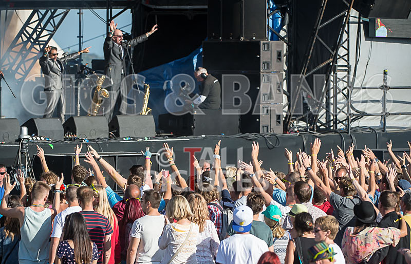 The Selecter-68 - THE SELECTER