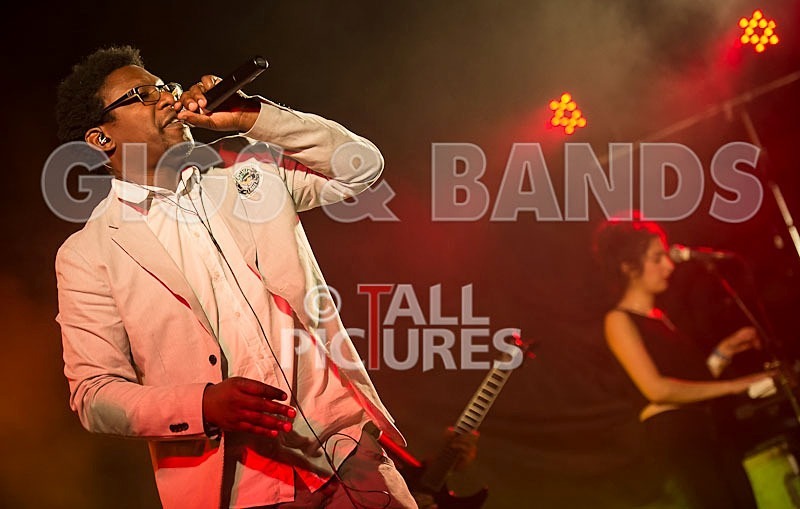 Roots Manuva-20 - ROOTS MANUVA