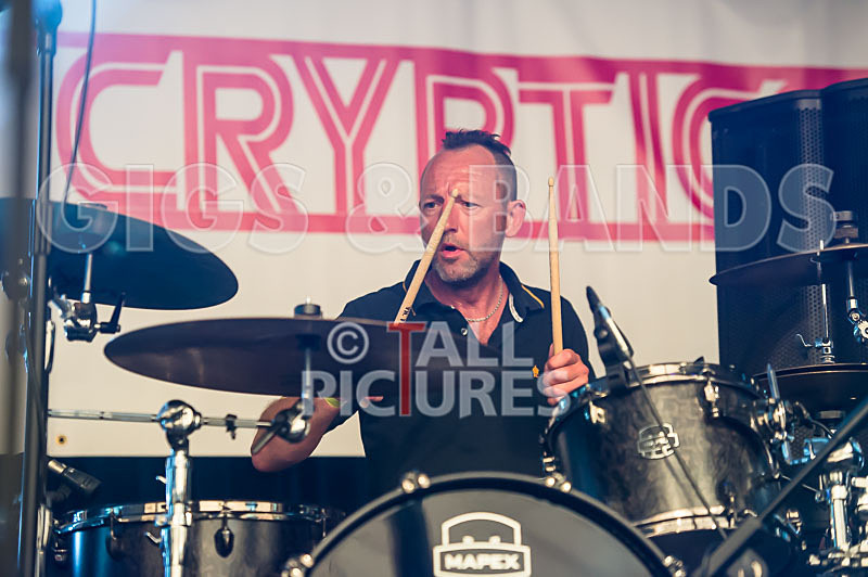 The Cryptics-77 - THE CRYPTICS