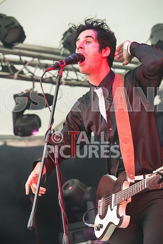 Surfin Birds-4 - THE SURFIN' BIRDS