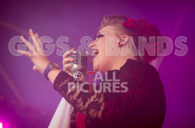 Static Alice-355 - STATIC ALICE