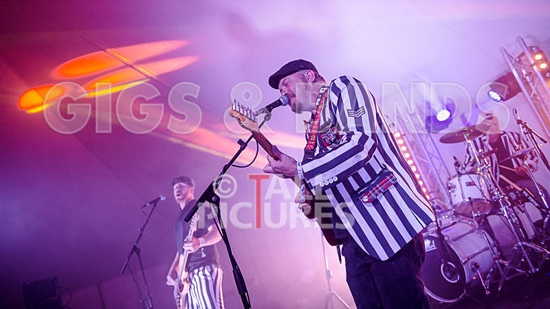 The Smooth Hounds-21 - THE SMOOTH HOUNDS