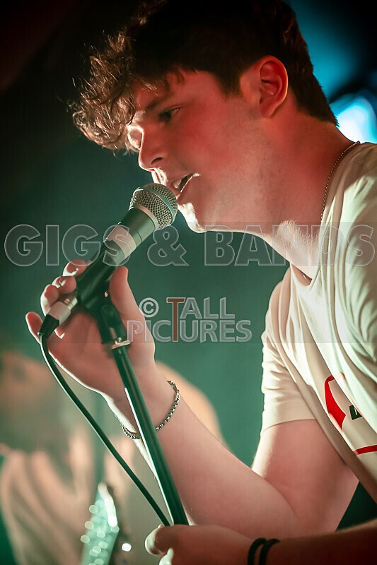 Black Dog-1 - BLACK DOG