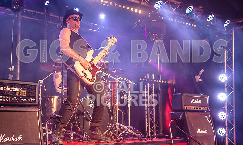 Peppered Ant Legs-218 - PEPPERED ANT LEGS