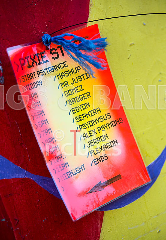 Vale Earth Fair 2017_SCENE-96 - VALE EARTH FAIR 2017_THE SCENE