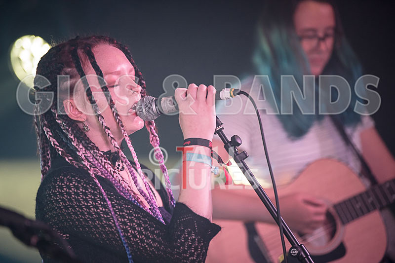 Avacado Geff-20 - AVACADO GEFF