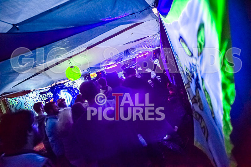 Vale Earth Fair 2018_SCENE-79 - VALE EARTH FAIR 2018_THE SCENE