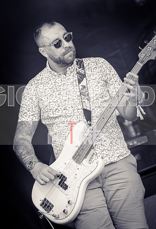 Neon Fire-16 - NEON FIRE