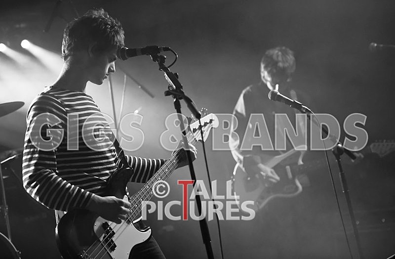 China Aster-56 - CHINA ASTER at RoA-9