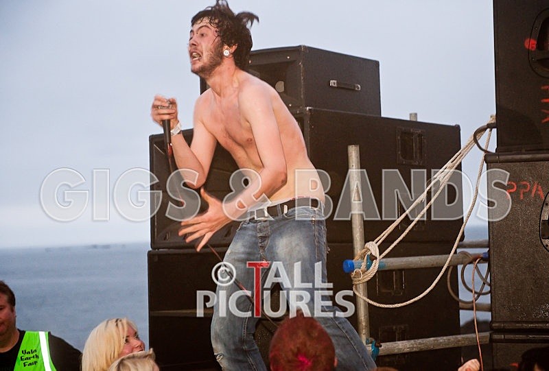 Elmer Henley-103 - VALE EARTH FAIR 2009