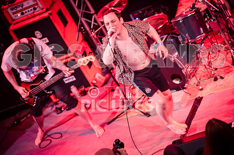 Pigsx7-12 - PIGS PIGS PIGS PIGS PIGS PIGS PIGS