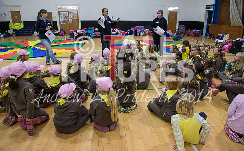 Big Brownie Birthday Party-31 - BROWNIE CENTENARY BROWNIE SLEEPOVER