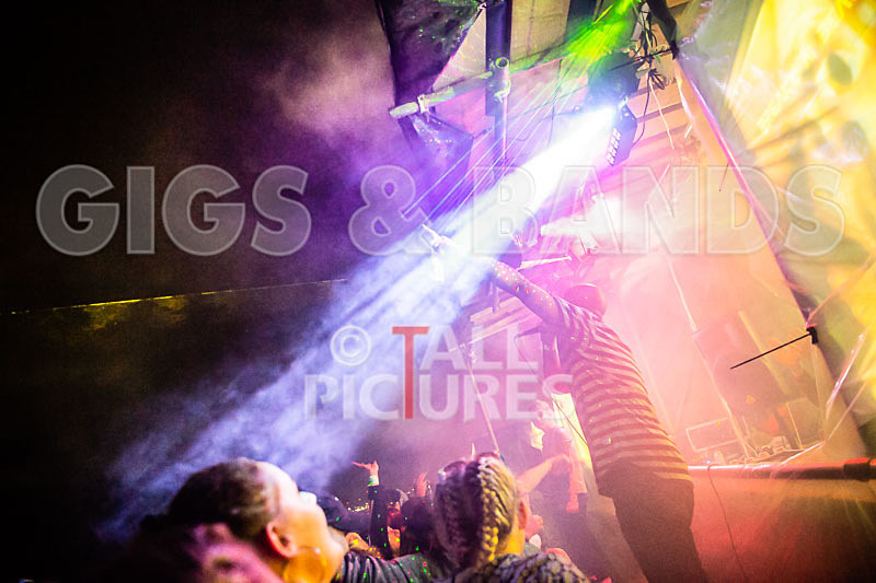 Vale Earth Fair 2018_SCENE-102 - VALE EARTH FAIR 2018_THE SCENE