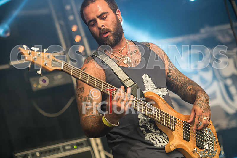 Static Alice-115 - STATIC ALICE