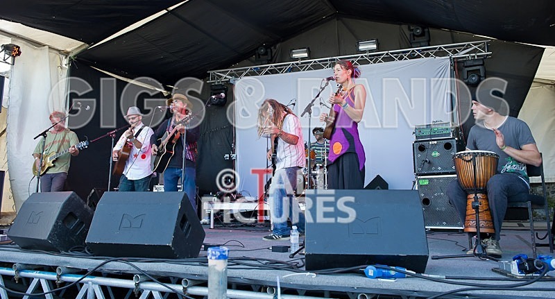 Big Sheep-15 - BIG SHEEP