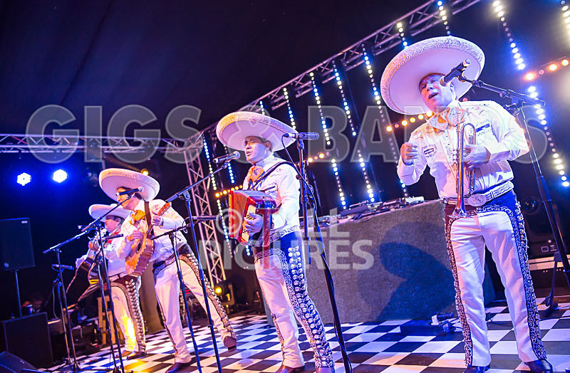 The Cuban Brothers-2 - THE CUBAN BROTHERS