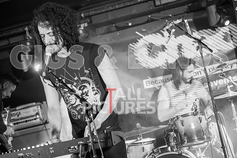 Harlequin Knights-15 - HARLEQUIN KNIGHTS