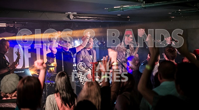 Sons of the Desert-175 - SONS OF THE DESERT