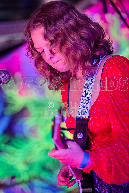 Kiya Ashton and the Folkadelics-8 - KIYA ASHTON AND THE FOLKADELICS