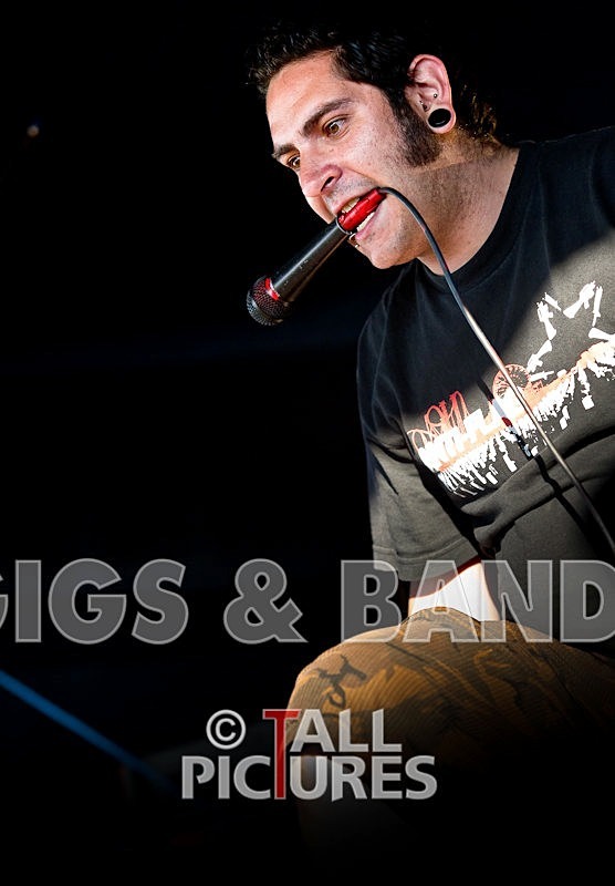 Hold your Fire-8 - HOLD YOUR FIRE