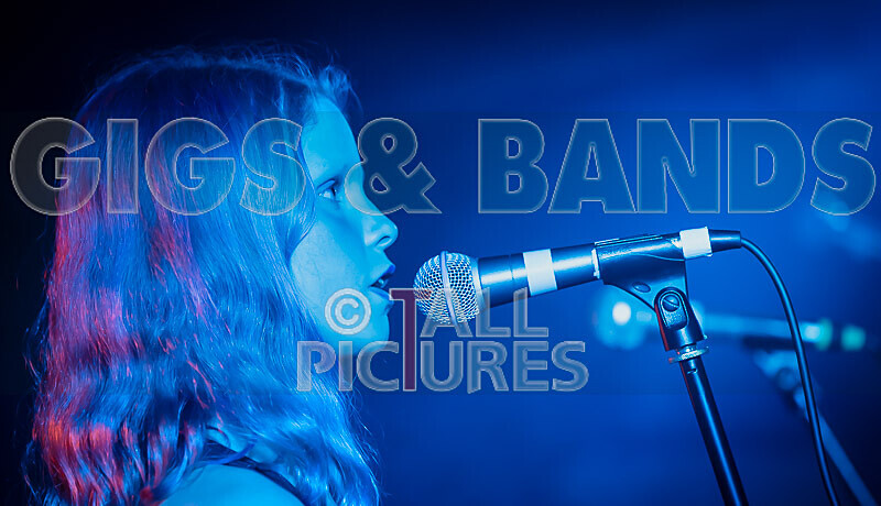 Crocspiracy-5 - CROCSPIRICY