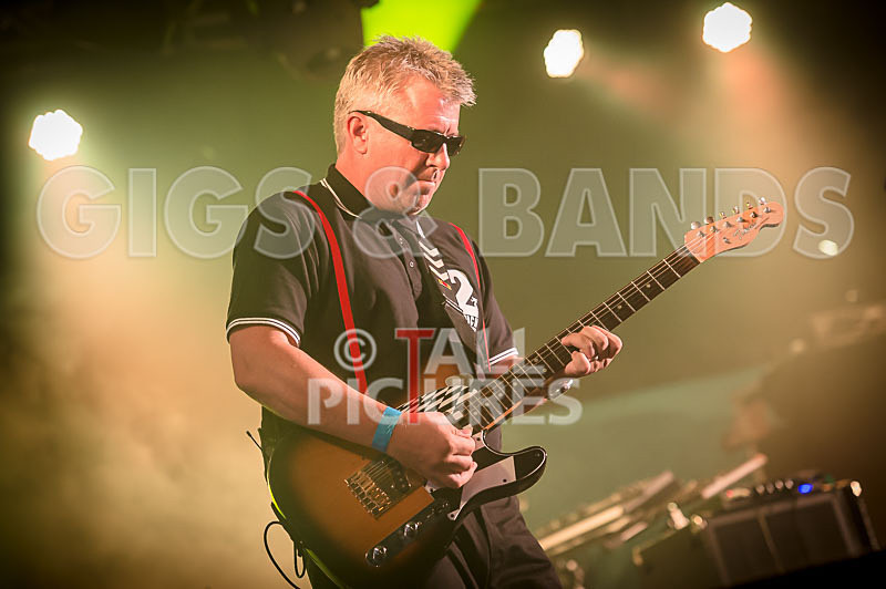 Sons of the Desert-306 - SONS OF THE DESERT