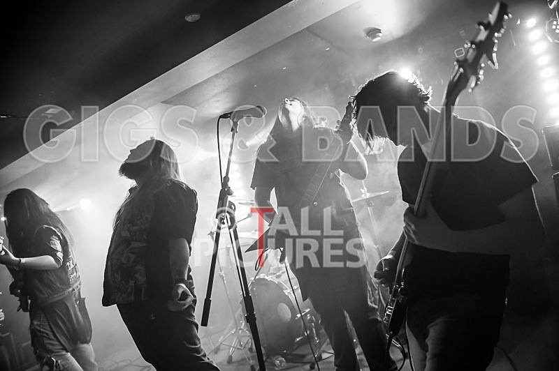 Stone Em All-161 - STONE EM ALL