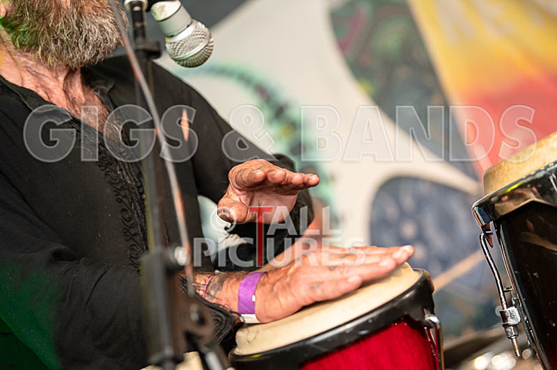 RentOClean-264 - RENTOCLEAN