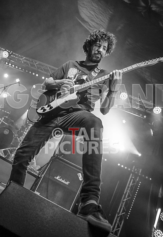 Static Alice-467 - STATIC ALICE