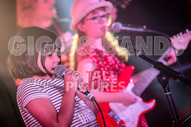 The Flaming Flamingos-7 - THE FLAMING FLAMINGOES