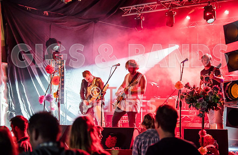 Near Bliss-60 - NEAR BLISS