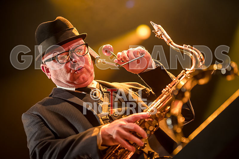 Madness-48 - MADNESS