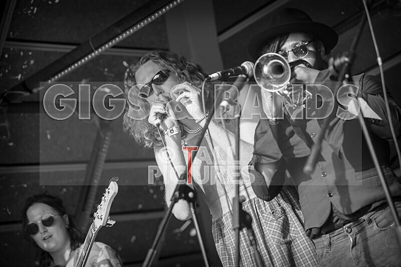 The Pips-141 - THE PIPS