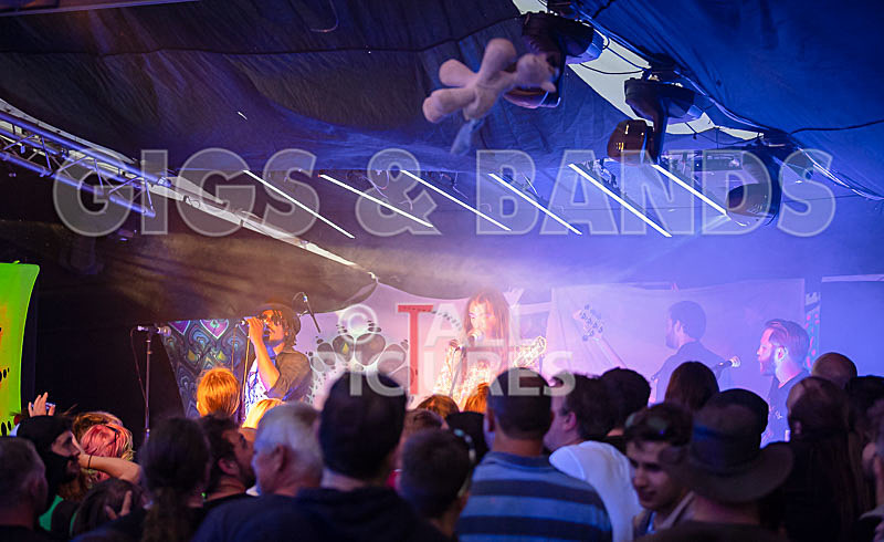 The Recks-819 - THE RECKS