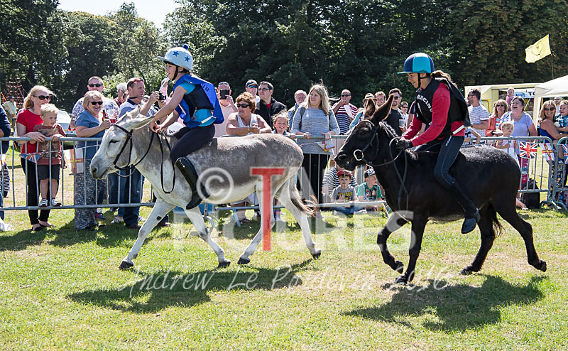 Donkey Derby_2016-14 - LIONS CLUB DONKEY DERBY 2016