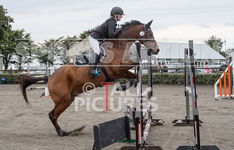 North Showjumping_2016-77 - NORTH SHOW SHOWJUMPING 2016