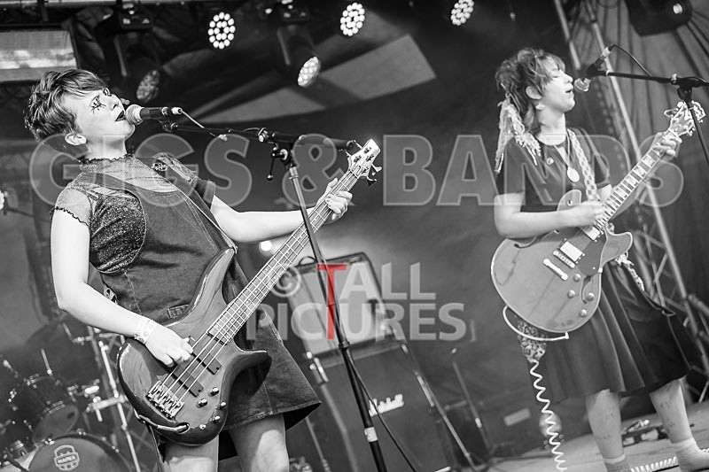 track no found-455 - track not found