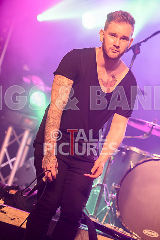 The Kings-66 - KINGS