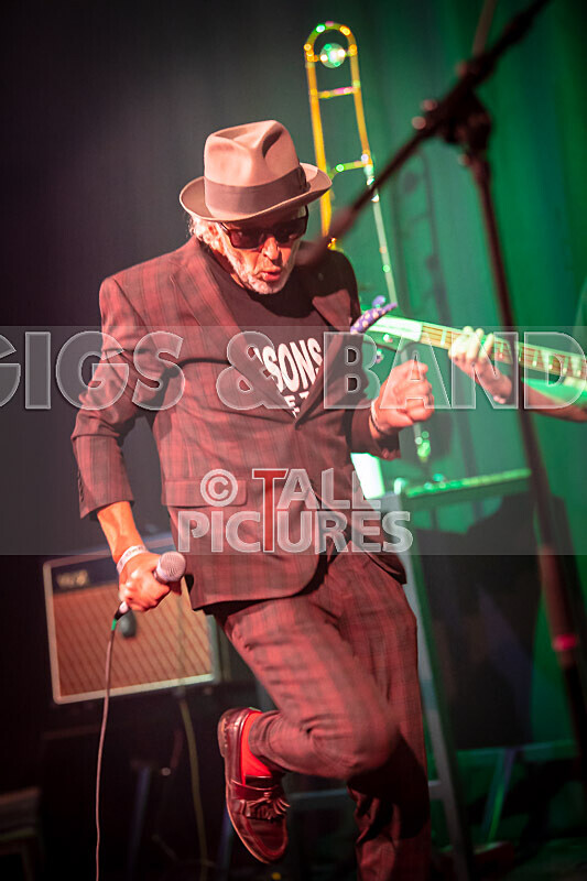 Sons of the Desert-361 - SONS OF THE DESERT