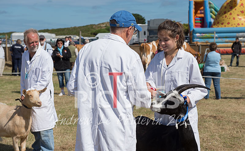 West Show_2014-14 - THE WEST SHOW 2014