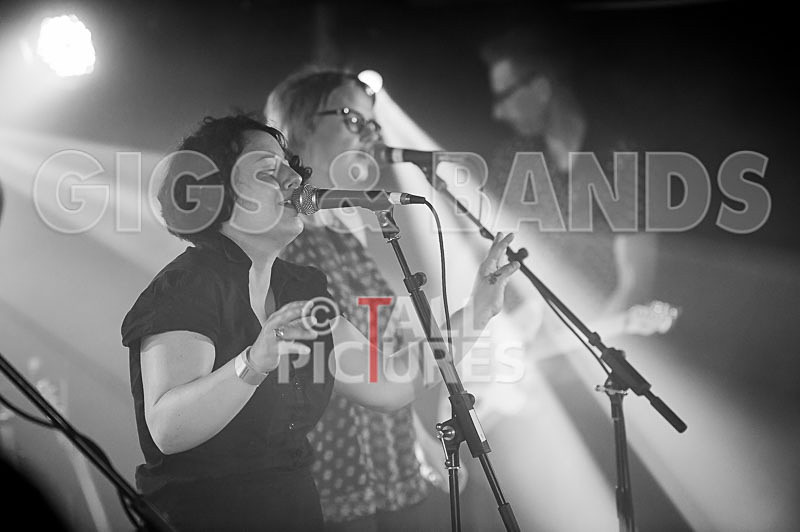 Ray and the Guns-42 - RAY AND THE GUNS