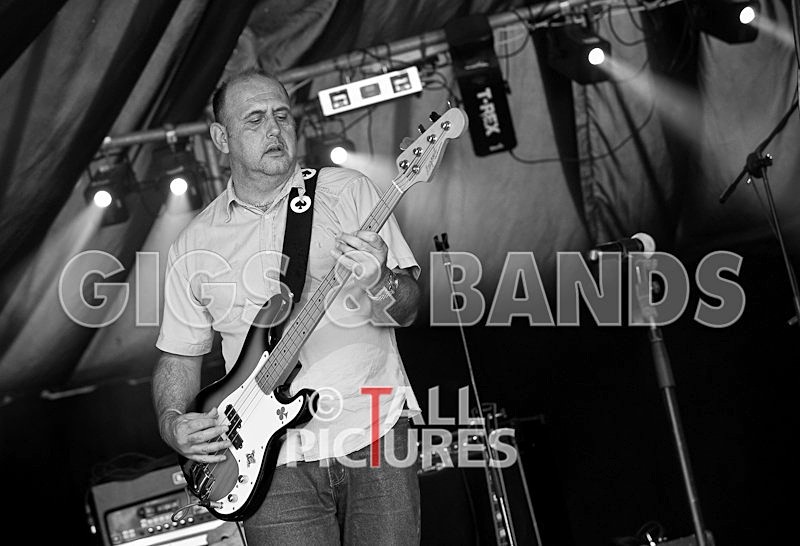 Wild Card-16 - HOGWASH 2009 - BANDS