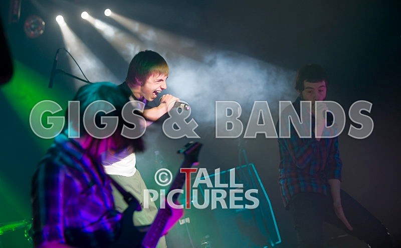 Elmer Henley-5 - ELMER HENLEY at RoA-2