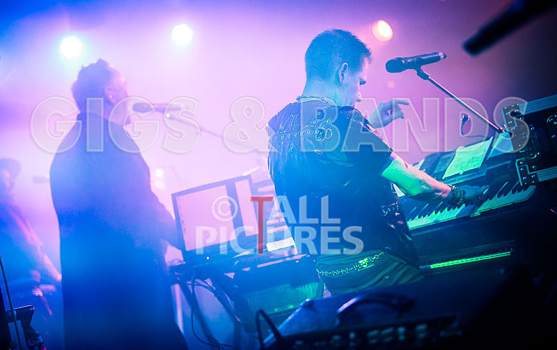 Fade2Grey-373 - FADE2GREY