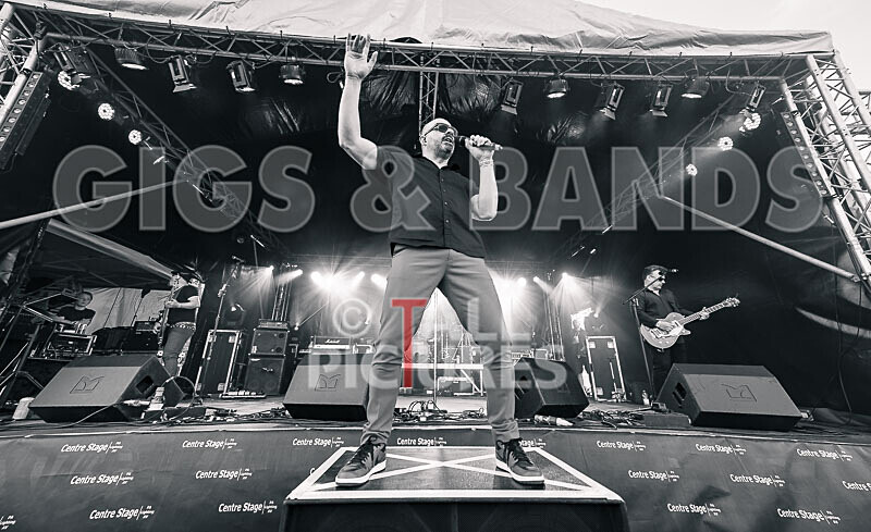 The Rubix-150 - THE RUBIX