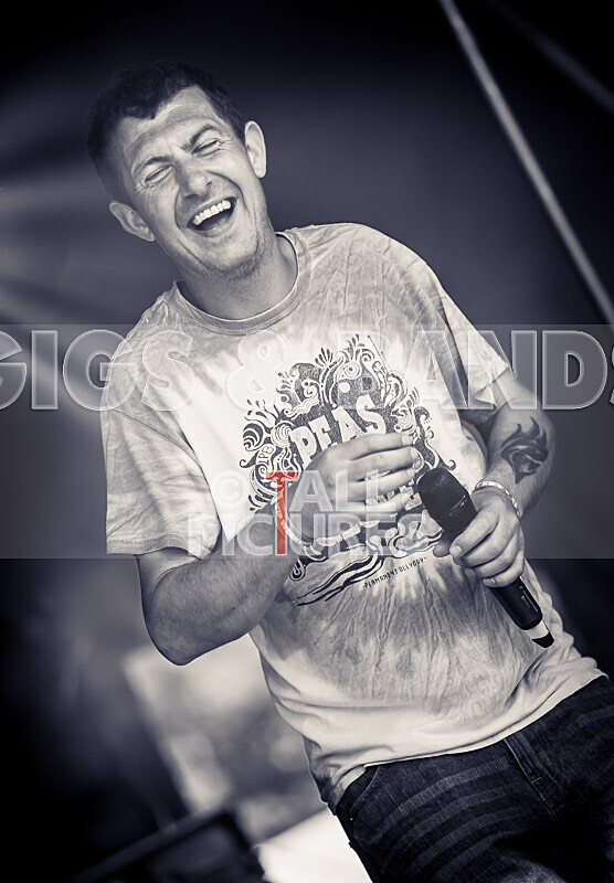 Buffalo Hudleston-749 - BUFFALO HUDLESTON