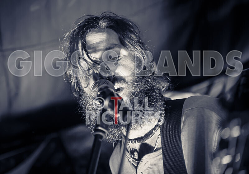 Honest Crooks-258 - HONEST CROOKS