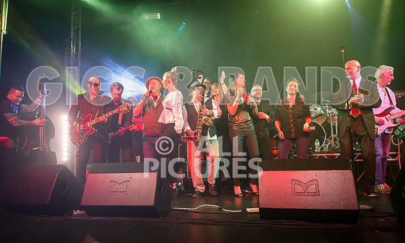 Harry Dean Junior and the New Breed-64 - HARRY DEAN JUNIOR AND THE NEW BREED