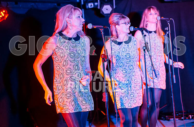 The Blondettes-34 - THE BLONDETTES