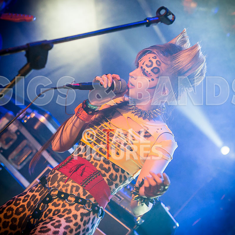 Pussycat and the Dirty Johnsons-54 - PUSSYCAT AND THE DIRTY JOHNSONS